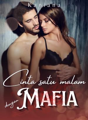Cinta Satu Malam Dengan Mafia By Kaniana | Libri