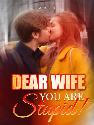 Dear Wife, You Are Stupid! By Anie | Libri