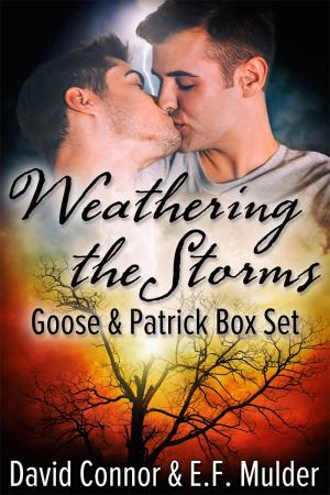 Weathering the Storms Box Set By fancynovel | Libri