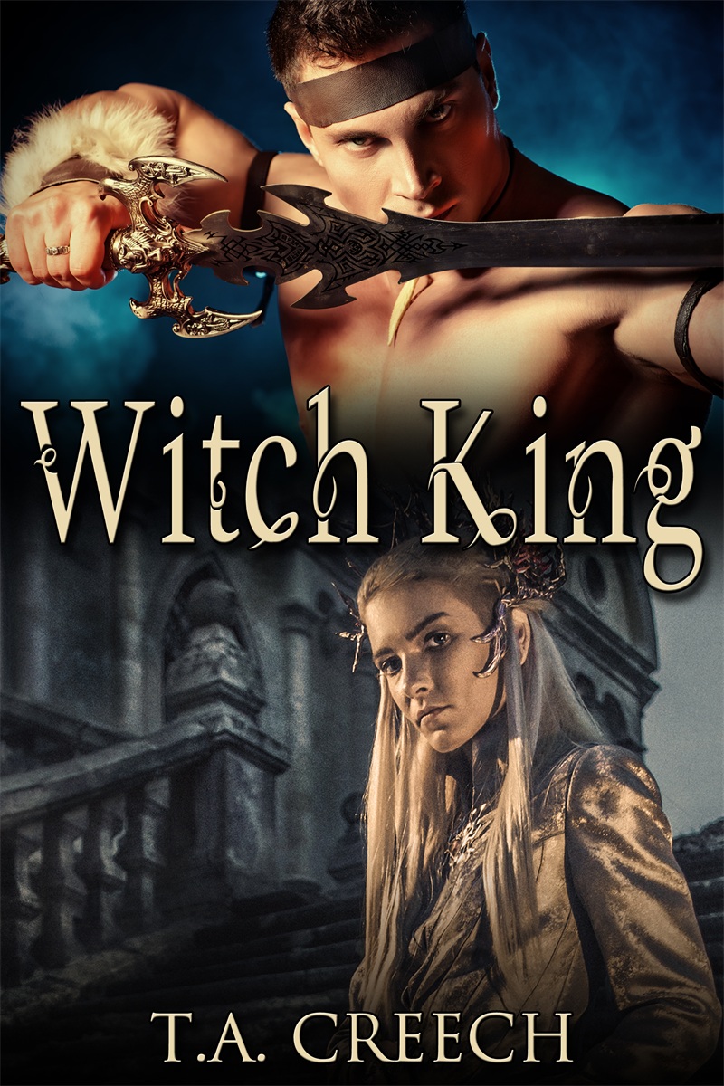 Witch King By fancynovel | Libri