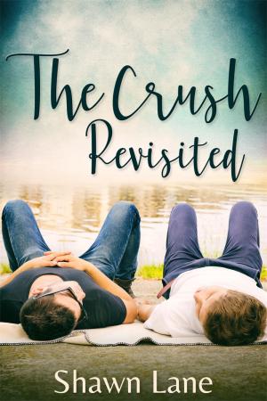The Crush Revisited By fancynovel | Libri
