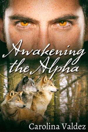 Awakening the Alpha By fancynovel | Libri