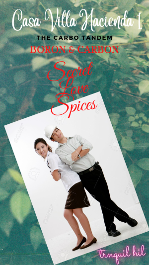 Secret Love Spices By tranquil hil | Libri