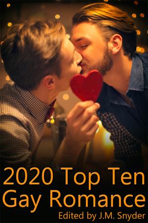 2020 Top Ten Gay Romance By fancynovel | Libri