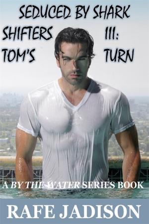 Tom's Turn By fancynovel | Libri