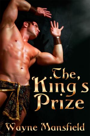 The King's Prize By fancynovel | Libri