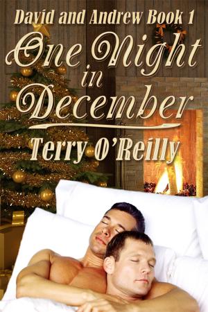 David and Andrew Book 1: One Night in December By fancynovel | Libri
