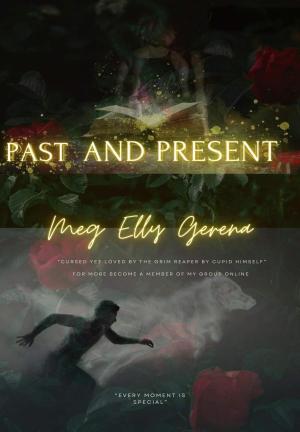 Past and Present By Meg Elly Gerena | Libri