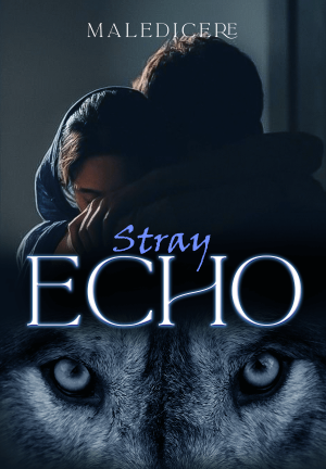 Stray Echo By Maledicere | Libri