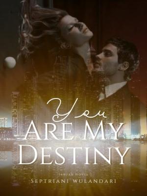 You Are My Destiny By Septrianiwulandari | Libri
