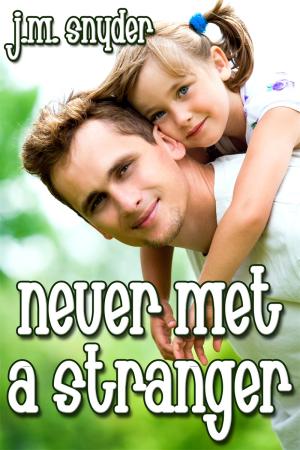 Never Met a Stranger By fancynovel | Libri