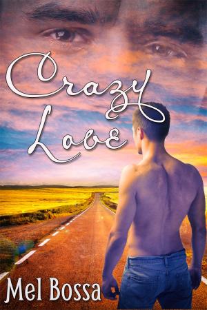 Crazy Love By fancynovel | Libri