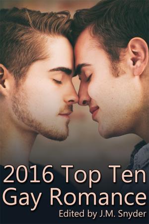 2016 Top Ten Gay Romance By fancynovel | Libri