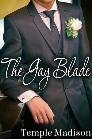 The Gay Blade By fancynovel | Libri