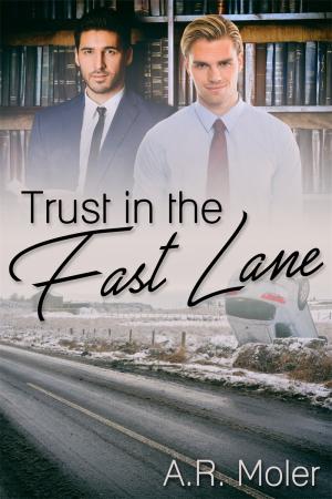 Trust in the Fast Lane By fancynovel | Libri