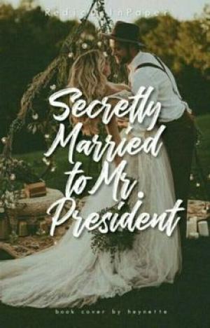 Secretly Married to Mr President By RediousInPaper | Libri