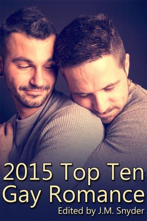 2015 Top Ten Gay Romance By fancynovel | Libri