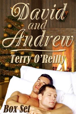 David and Andrew Box Set By fancynovel | Libri