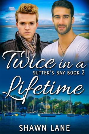 Twice in a Lifetime By fancynovel | Libri