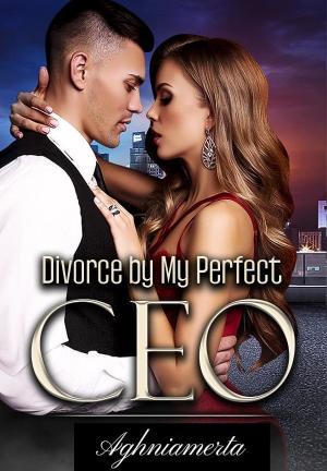 Divorce by My Perfect CEO By Aghniamerta | Libri