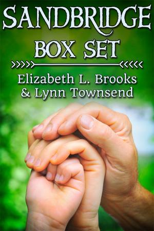Sandbridge Box Set By fancynovel | Libri