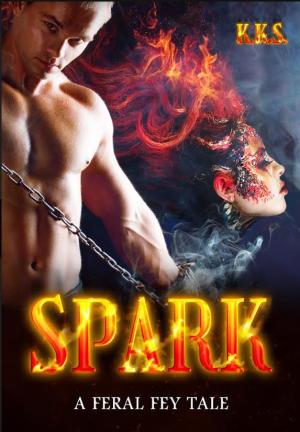 Spark By K.K.S. | Libri