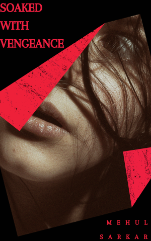Soaked with Vengeance By Mehul Sarkar | Libri