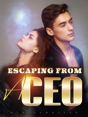 Escaping From A CEO By SerialWriter | Libri