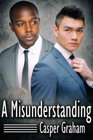 A Misunderstanding By fancynovel | Libri