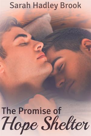The Promise of Hope Shelter By fancynovel | Libri