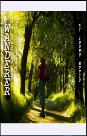 The Wanderer: Mystery Of The Young Master By Idowu Mutiu | Libri