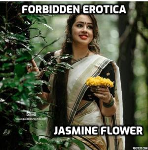 Forbidden Erotica By Jasmine flower | Libri