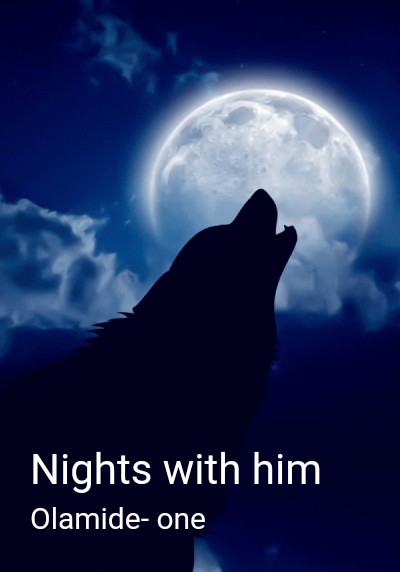 Nights with him By Olamide- one | Libri