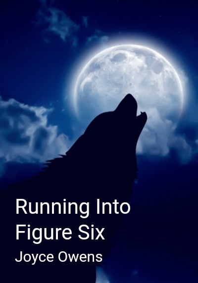 Running Into Figure Six By Joyce Owens | Libri