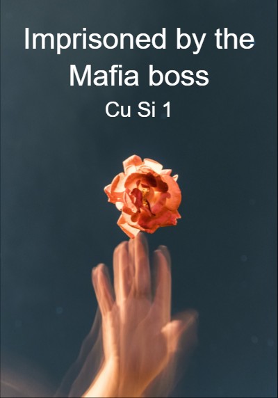 Imprisoned by the Mafia boss By Cu Si 1 | Libri