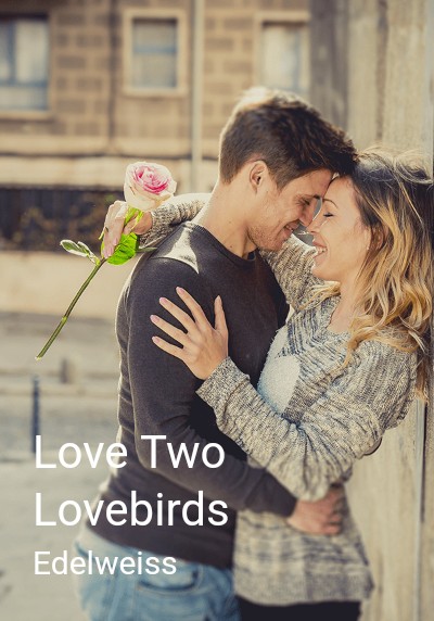 Love Two Lovebirds By Edelweiss | Libri